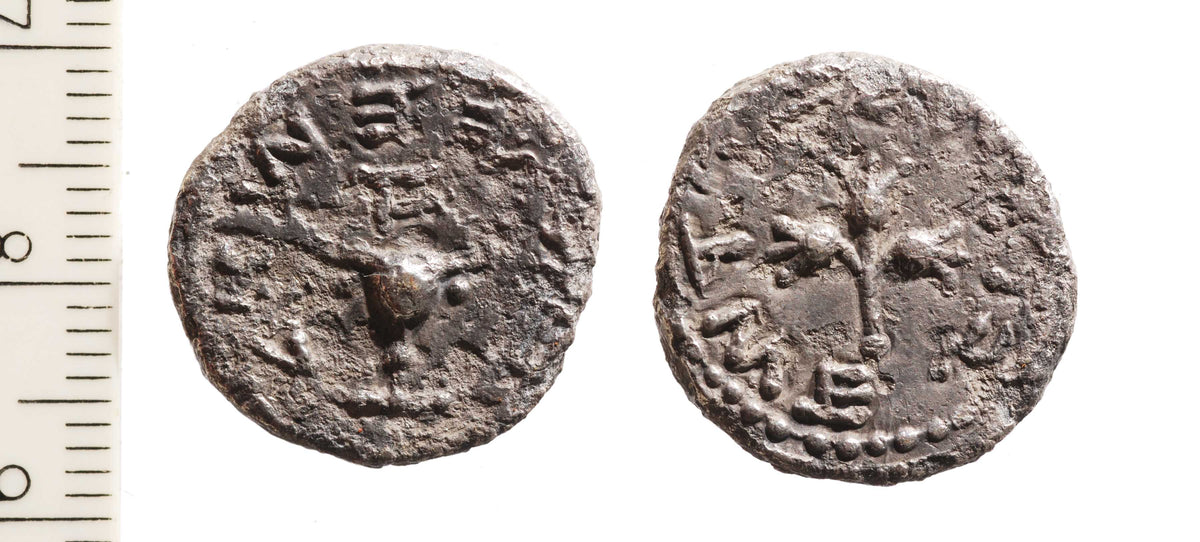 מטבע מחצית השקל