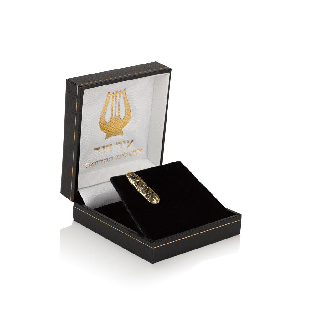 סיכה לדש הבגד - כתב עברי קדום