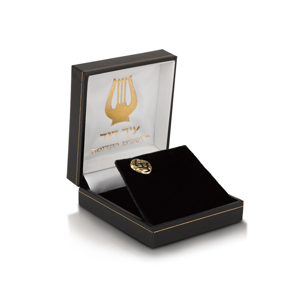 סיכה לדש פליז כתב עברי קדום