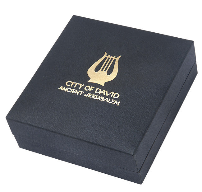 שרשרת מחצית השקל עשויה פיוטר