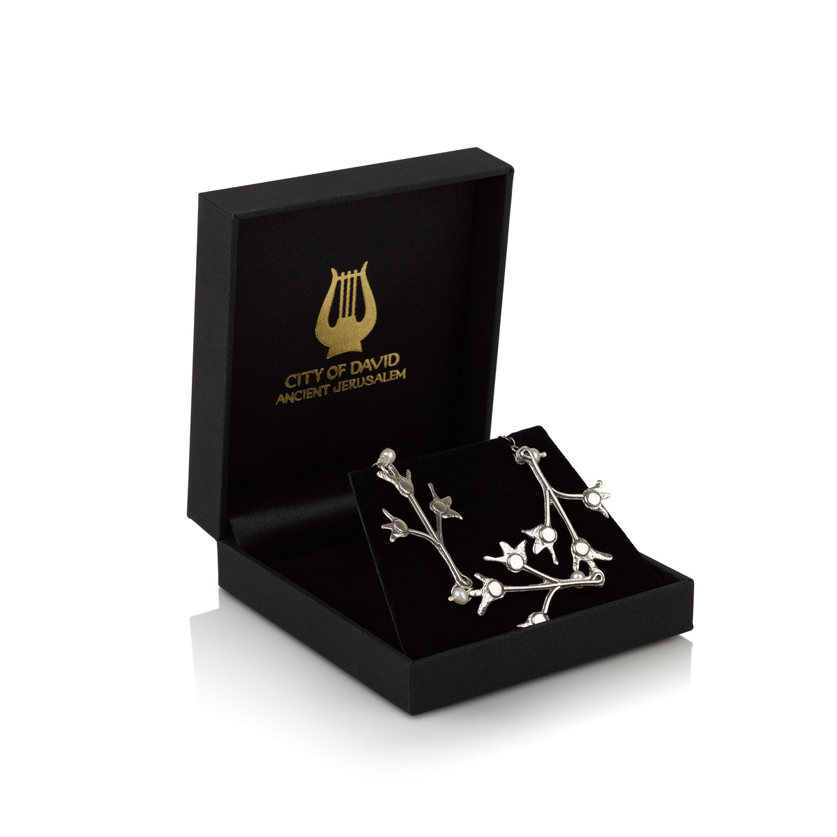 שרשרת כסף מחצית השקל